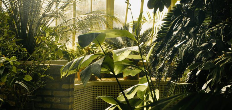 c2f0b289929053c82845b9e34166299e